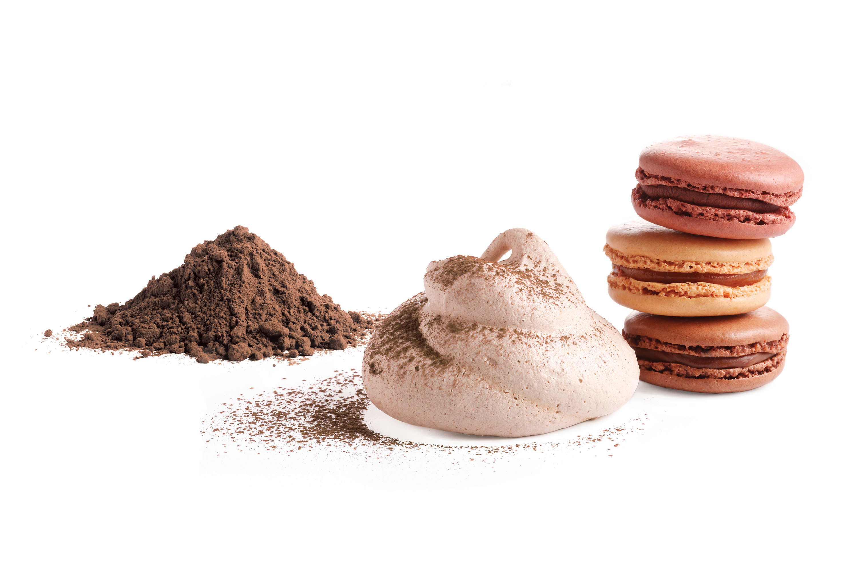 Defatted Cocoa Powder | Bensdorp