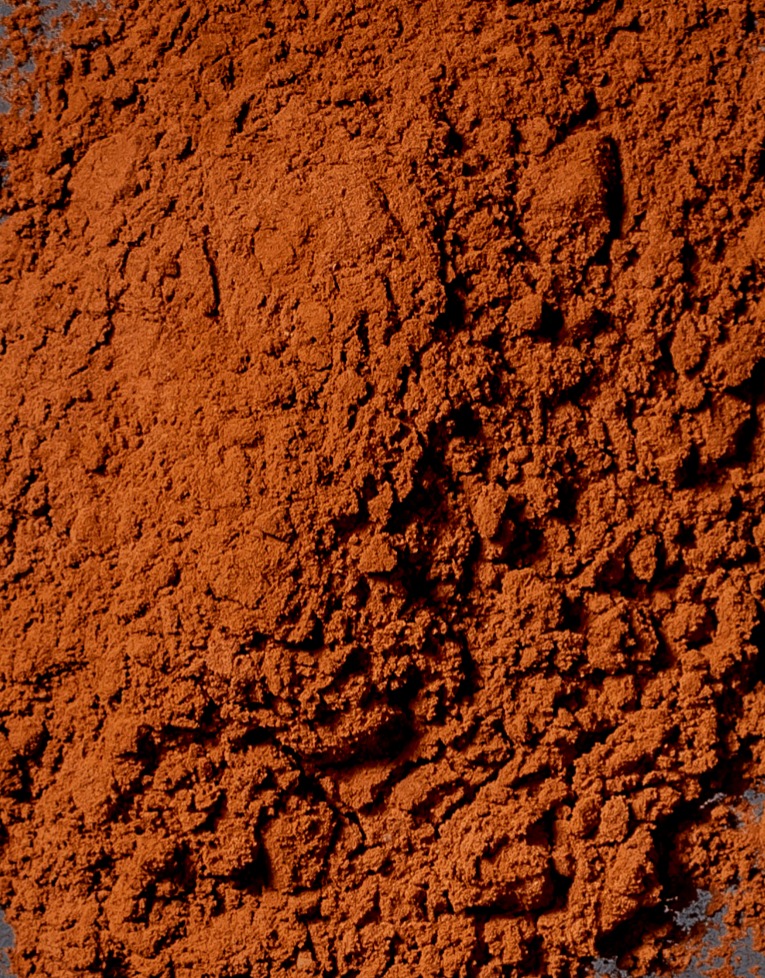 Cocoa powder and cocoa products - Cocoa powder Selección 22 - 1kg