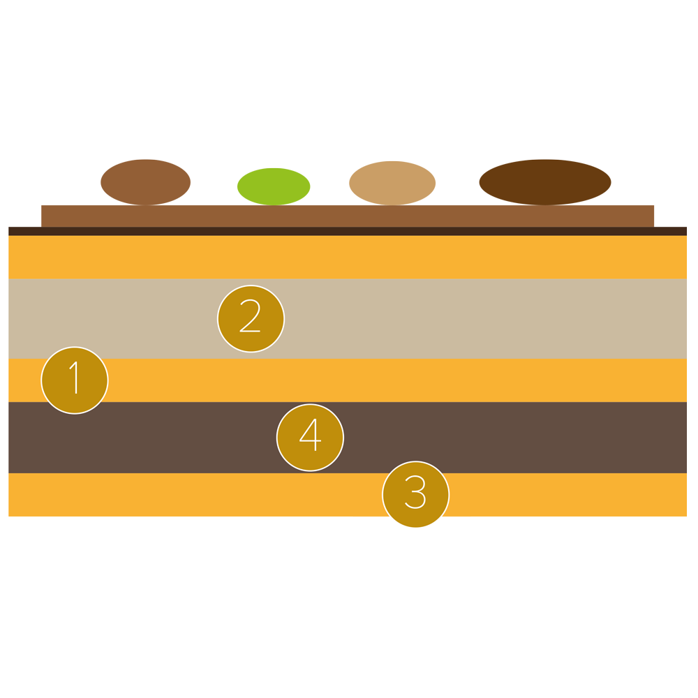 Tarta ópera con pecanas